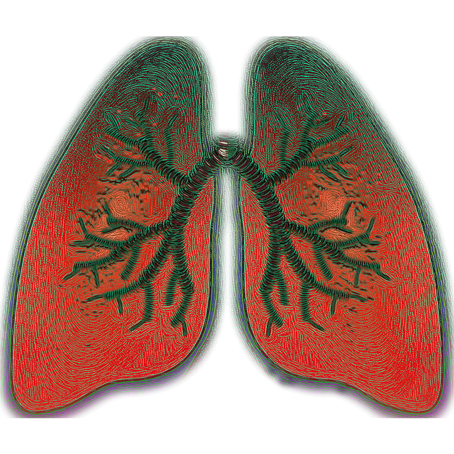 fibrose idiopatica